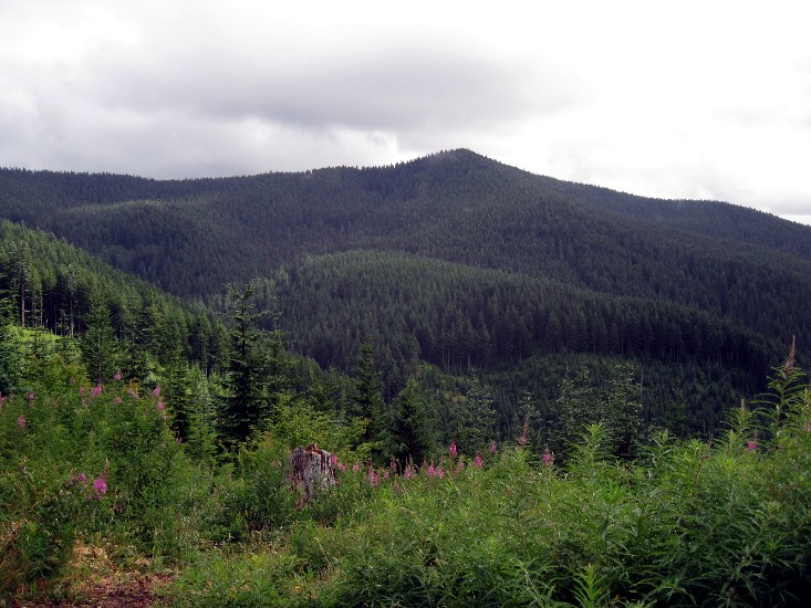 2011-08-31-001ab.jpg