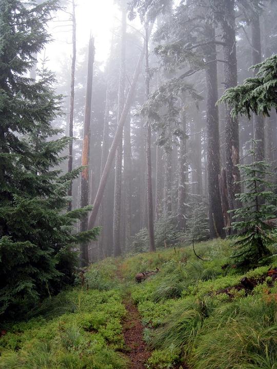 2011-10-05-001ab.JPG
