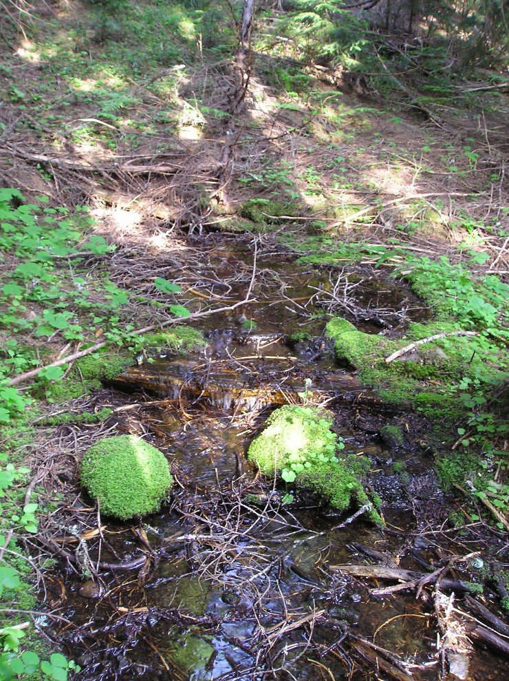 2009-07-22-002a.jpg