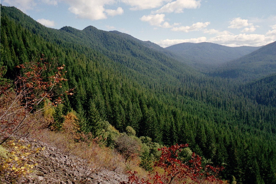 IMG002.jpg