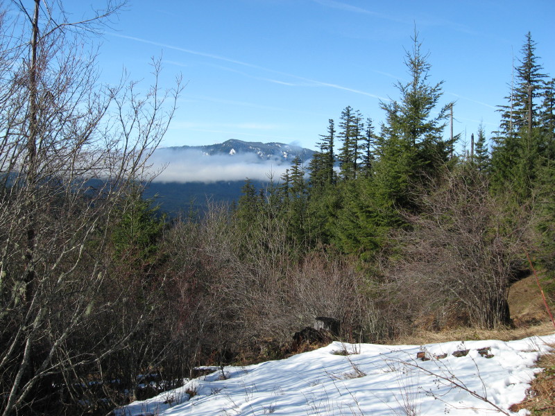 IMG_3667.jpg
