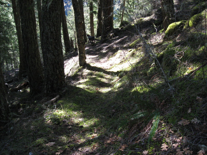 IMG_3669.jpg