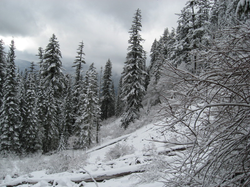 IMG_3747.jpg
