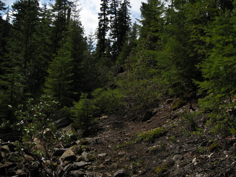 IMG_3785.jpg