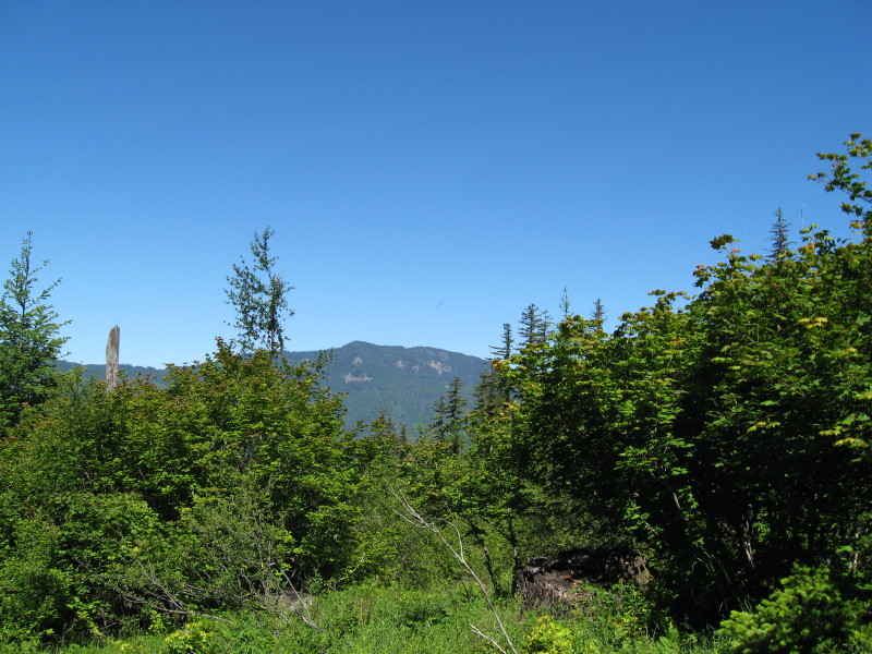 IMG_3816-1.jpg