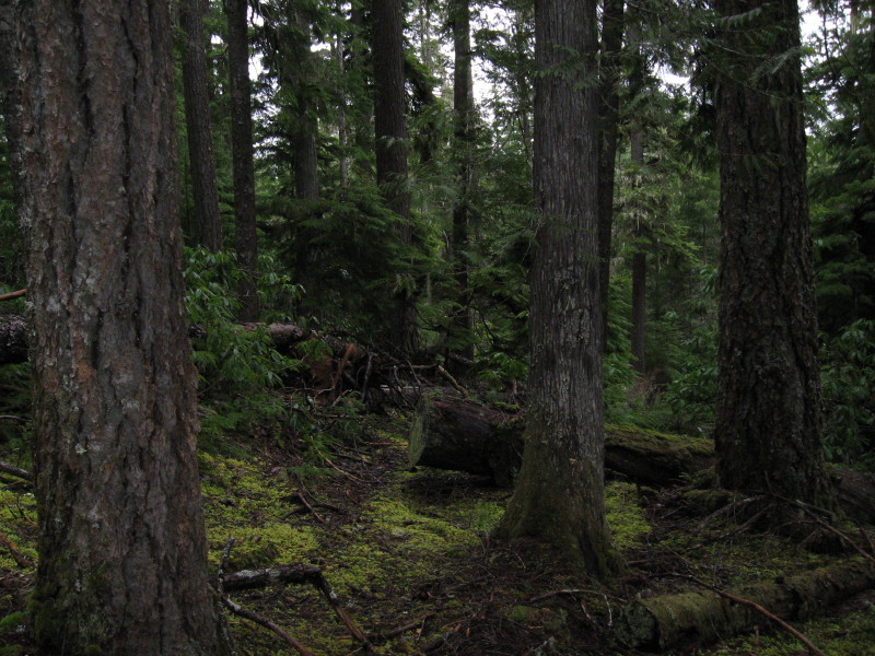 IMG_3766.jpg