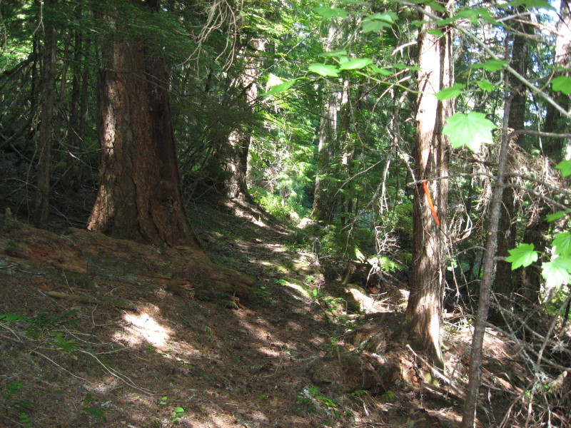 IMG_3873.jpg