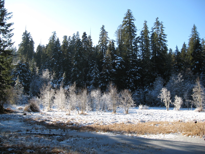 IMG_1089.jpg