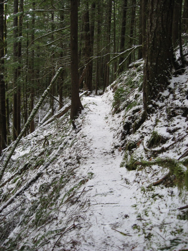 IMG_2256.jpg