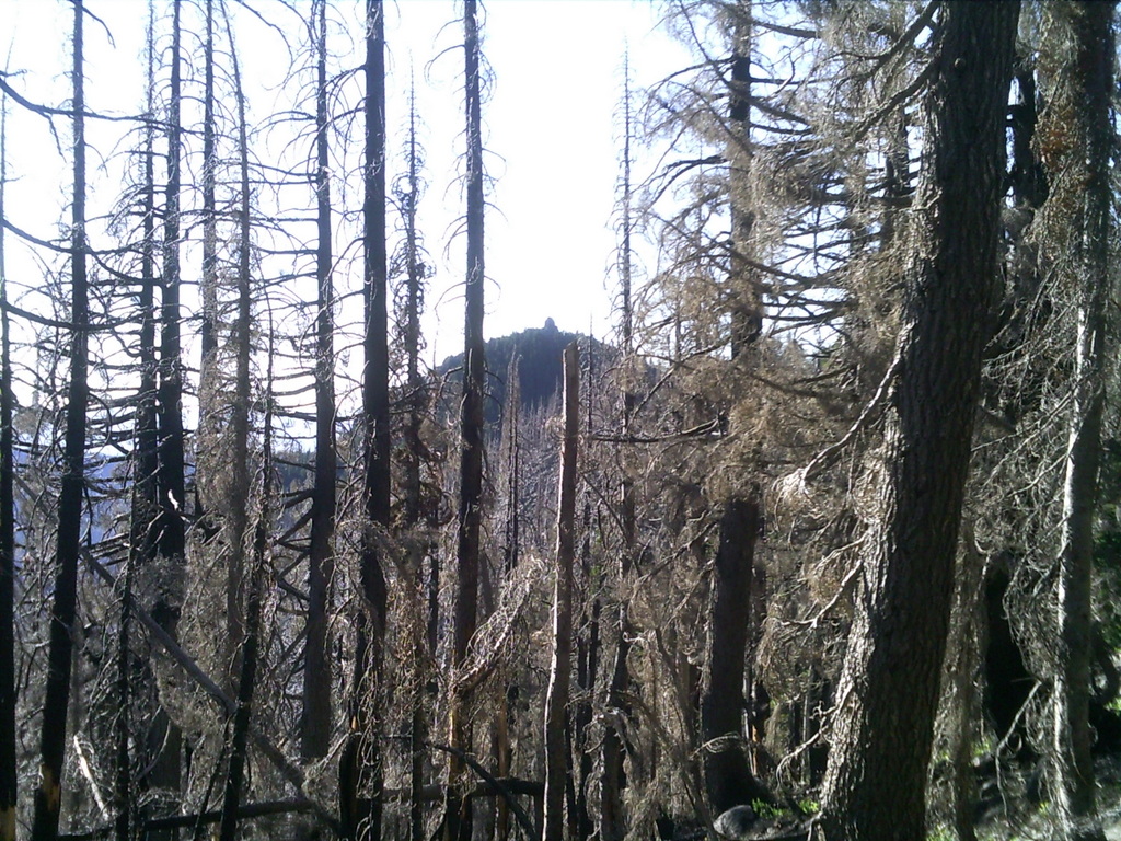 PICT0168.JPG