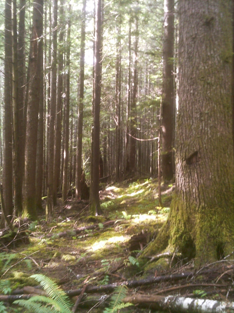 PICT0512.JPG