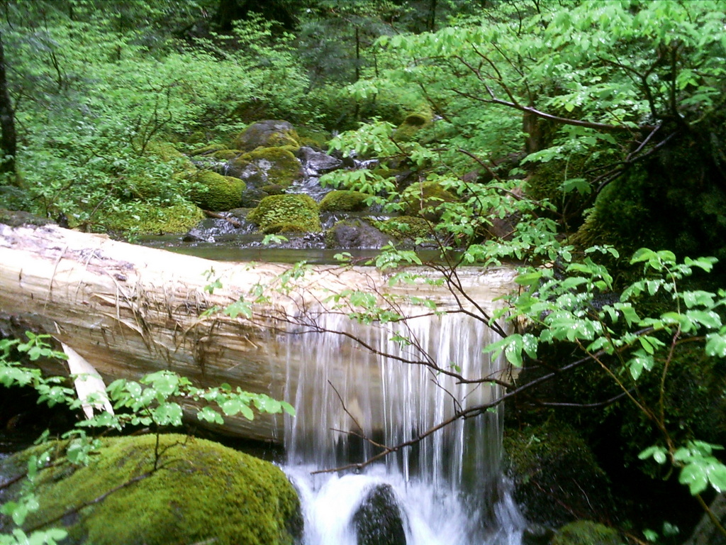PICT0031.JPG