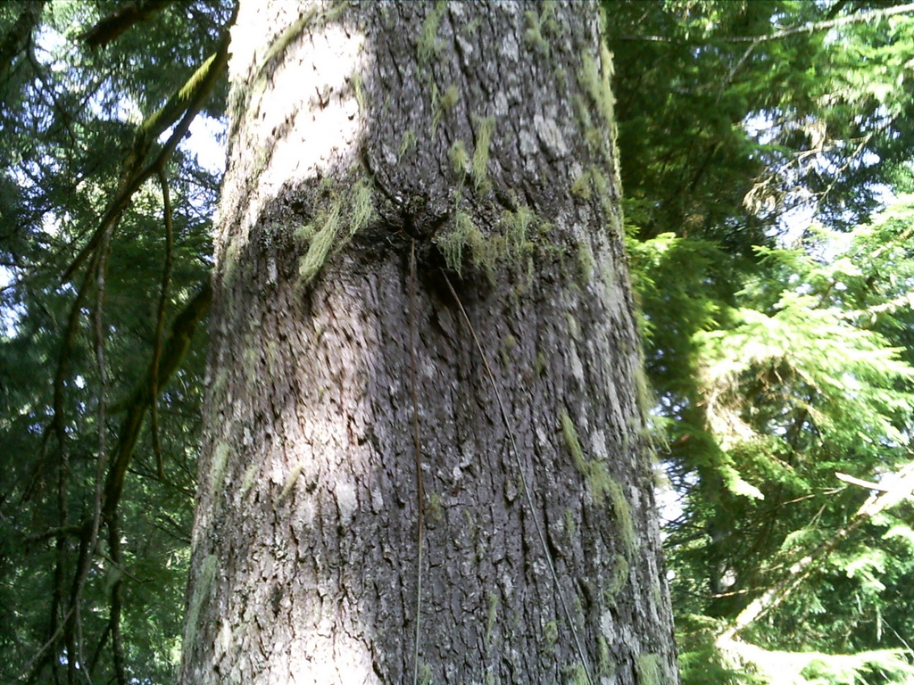 PICT0469.JPG