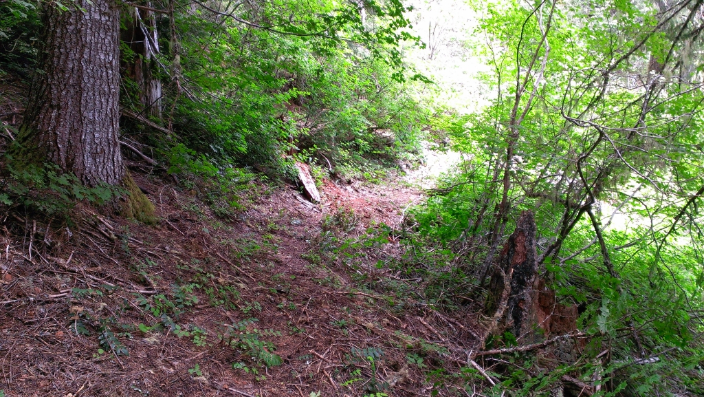 IMAG0398.jpg