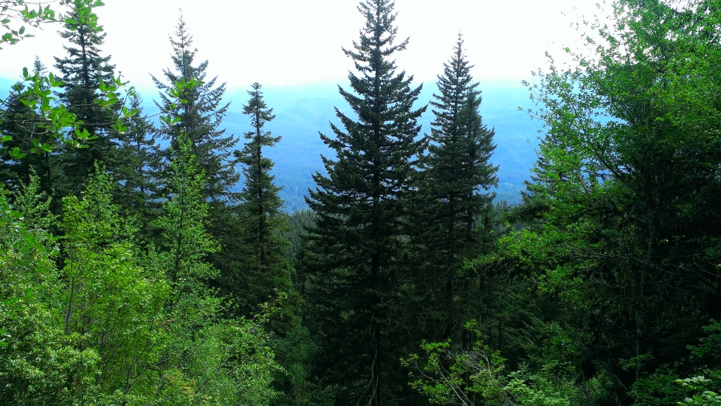 IMAG0404.jpg