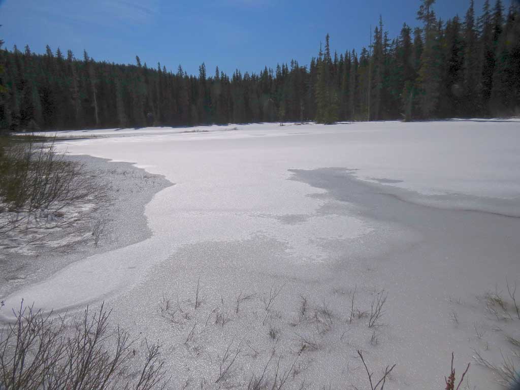 Pond.jpg