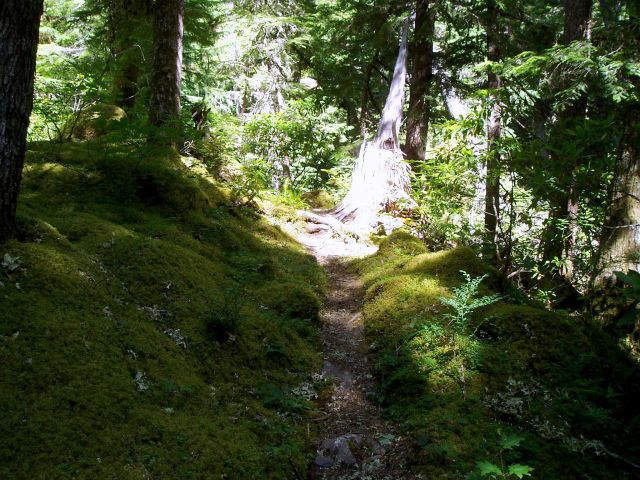 P7070267.jpg