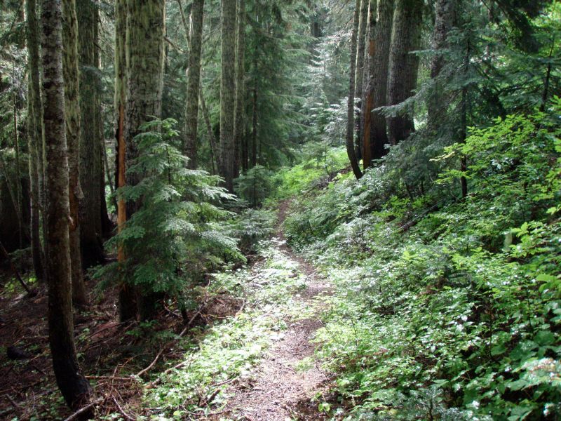 PA020065.jpg