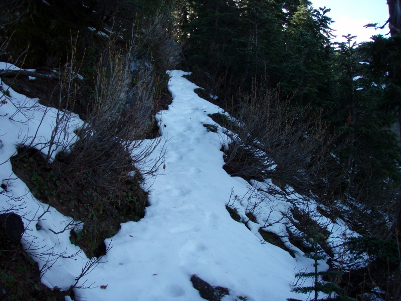 PB010041.jpg