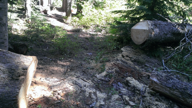 IMAG0218.jpg