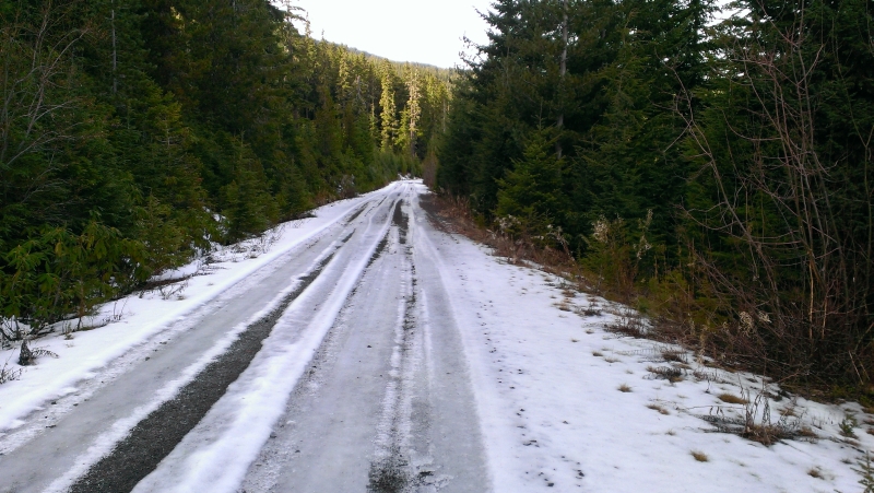 IMAG0975.jpg