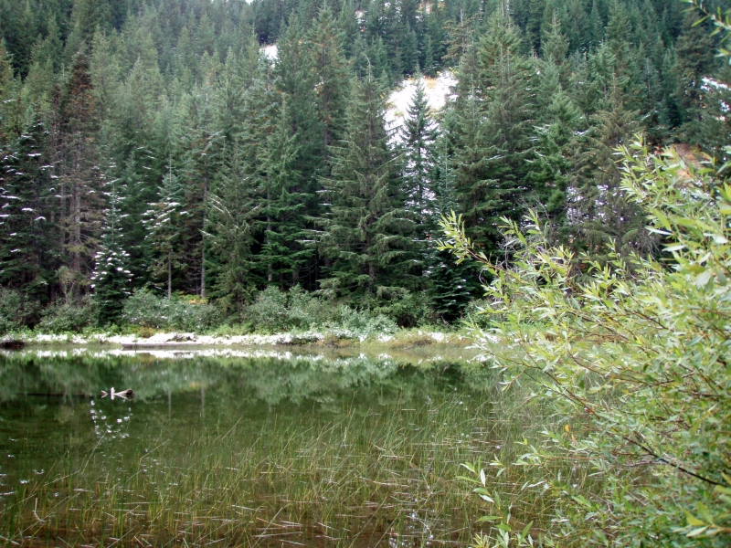 PA120048.jpg