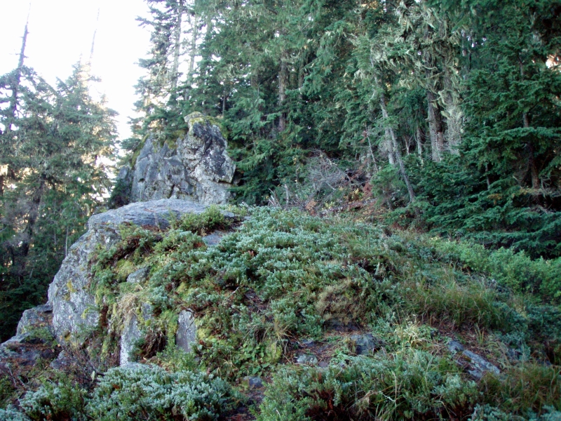 PB030070.jpg
