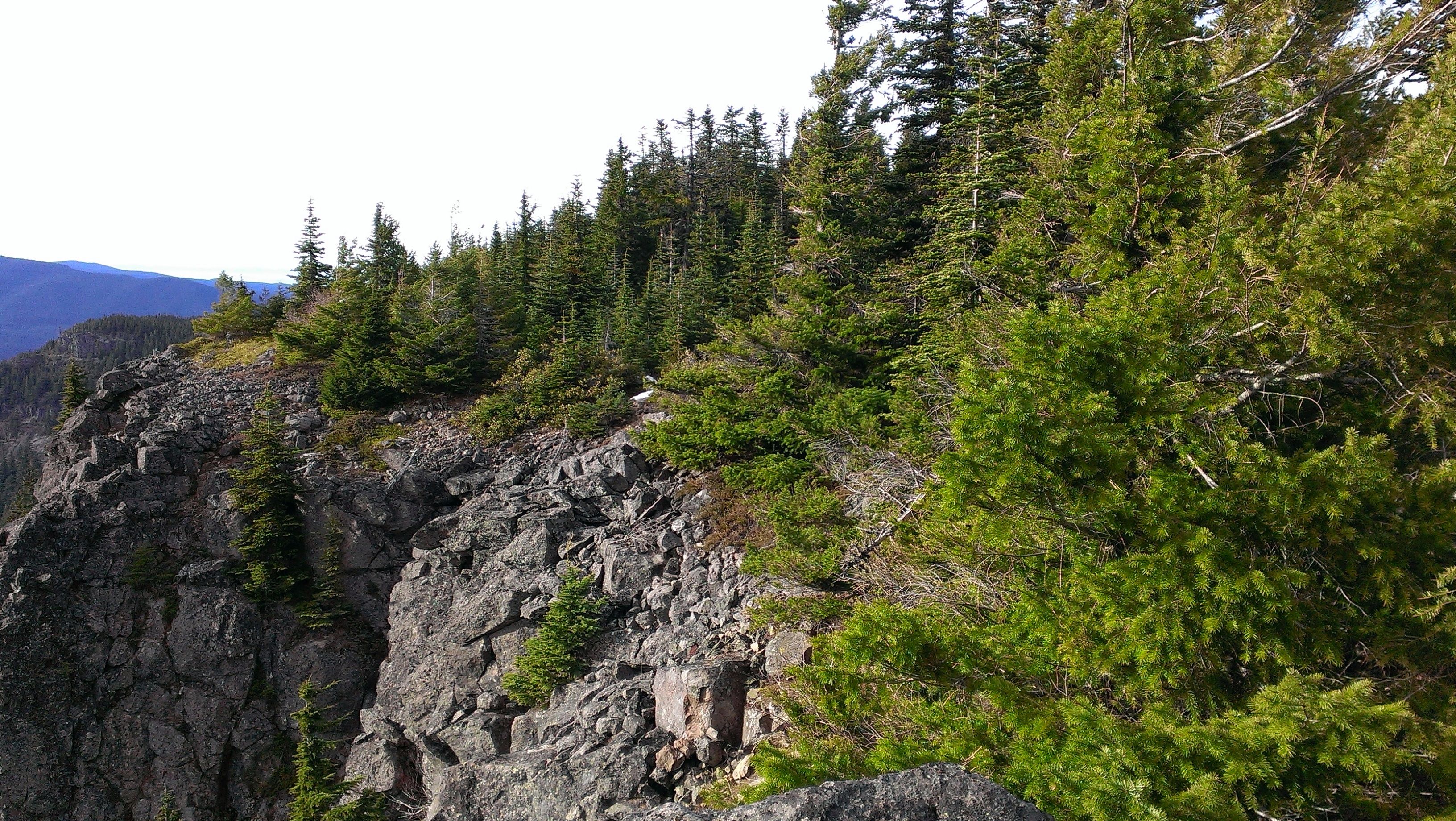 IMAG0696.jpg