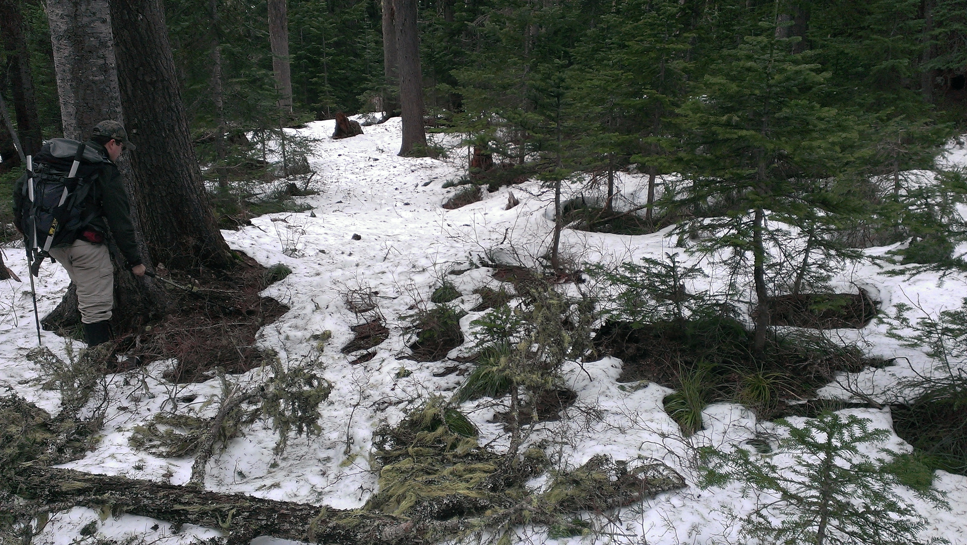 IMAG0700.jpg