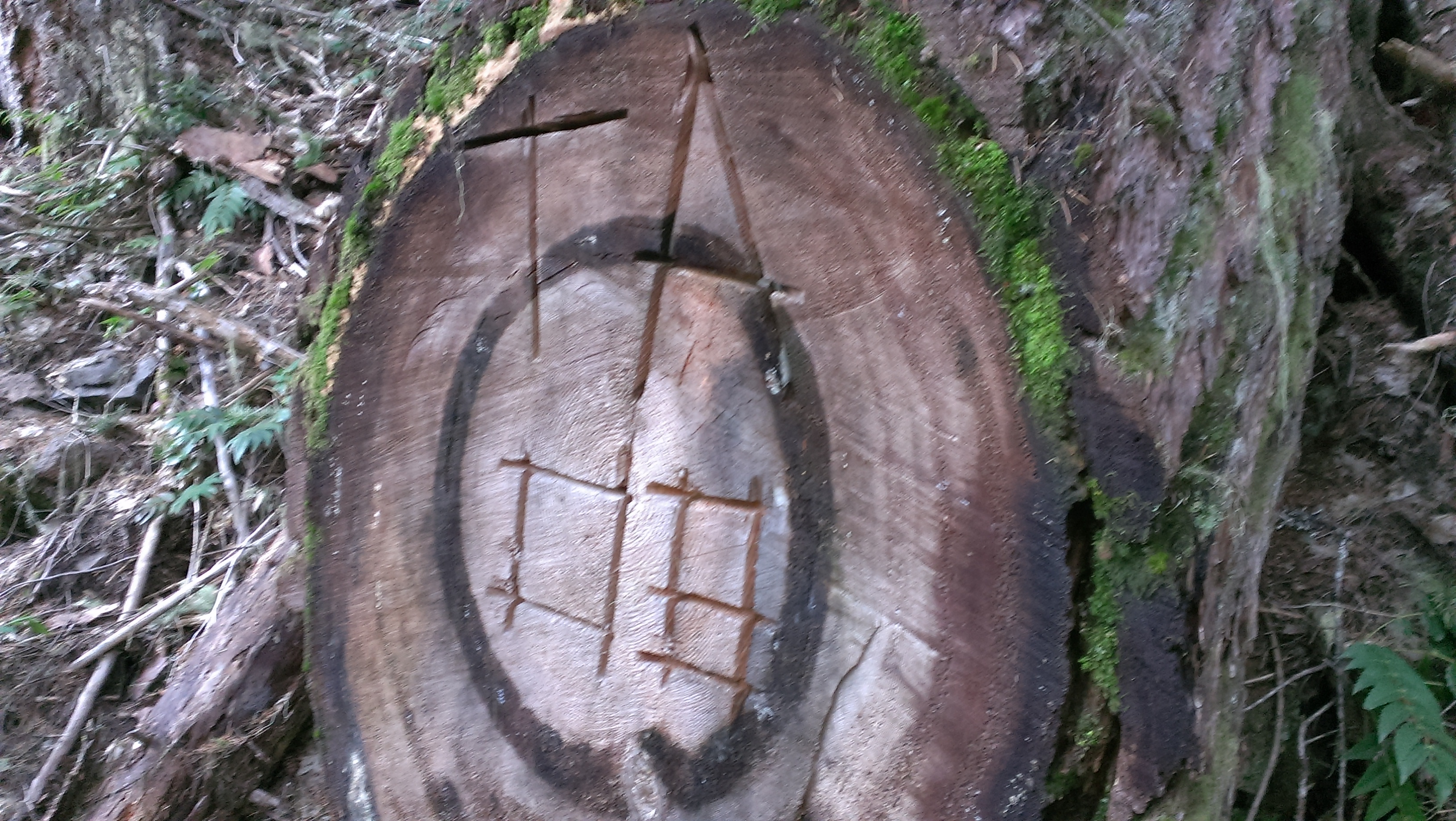 IMAG0702.jpg