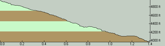 Dickey Lake Elevation Profile-East to West