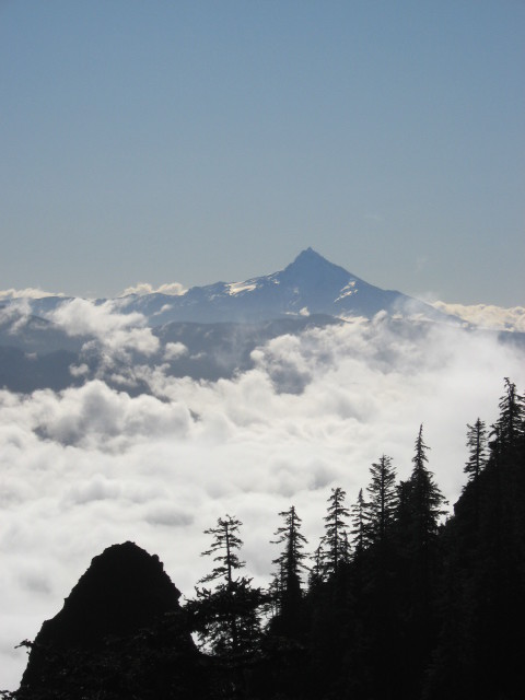 IMG_0895small