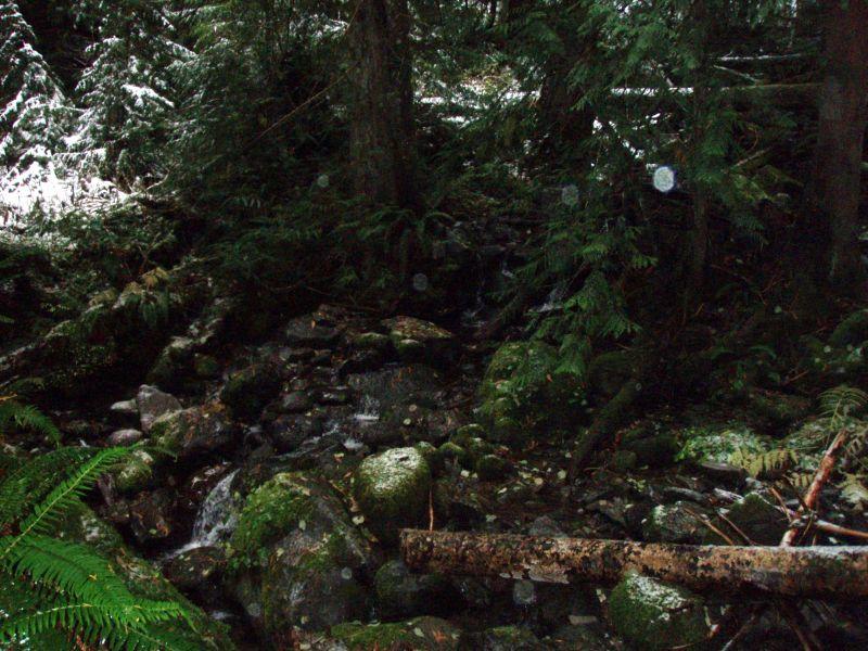 Plaza Creek