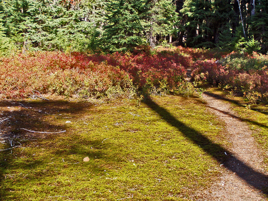 Trail_Color-21.jpg