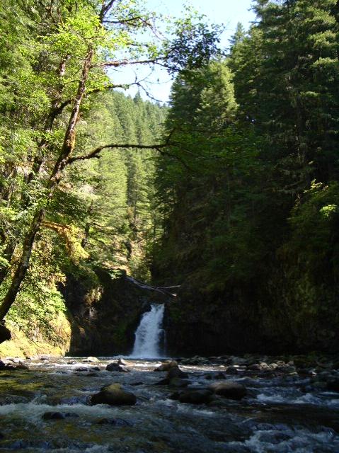 dscf0338.jpg