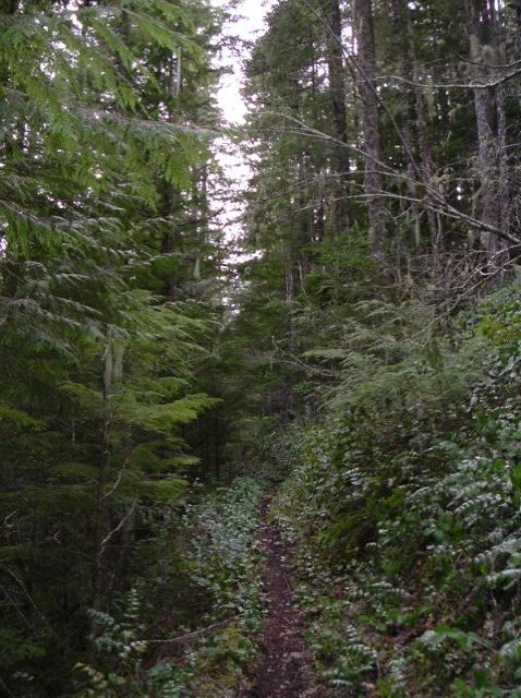 dscf0081.jpg