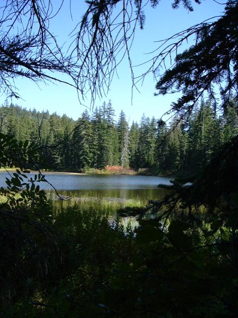 dscf0428.jpg