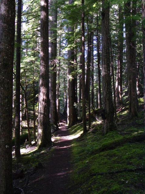 dscf0485.jpg