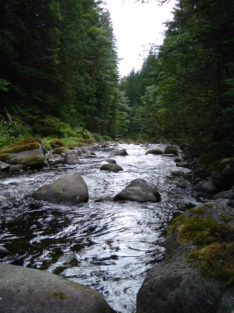 dscf0699.jpg