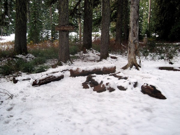 2011-11-09-017ab.jpg