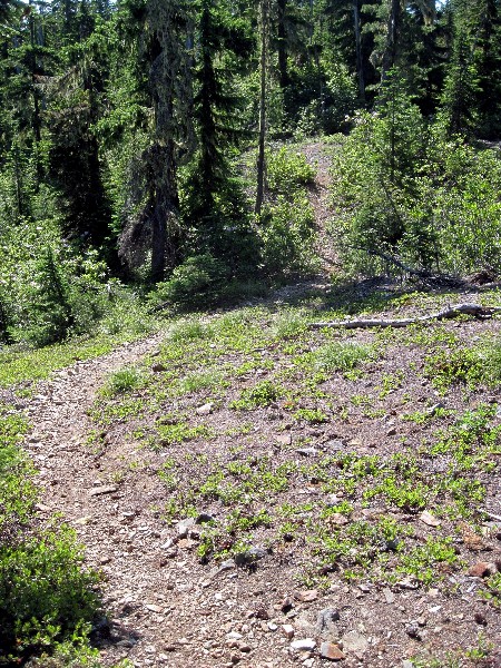 2011-07-27-050ar.jpg