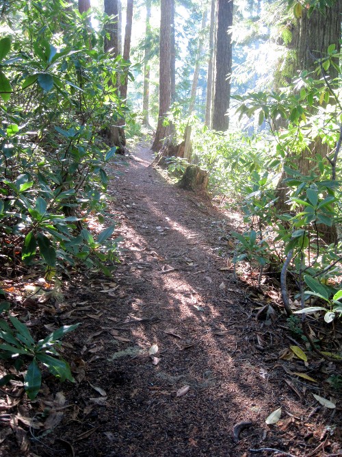 2011-11-02-044ab.jpg