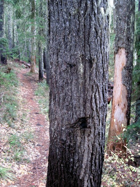 2012-10-31-022ab.jpg