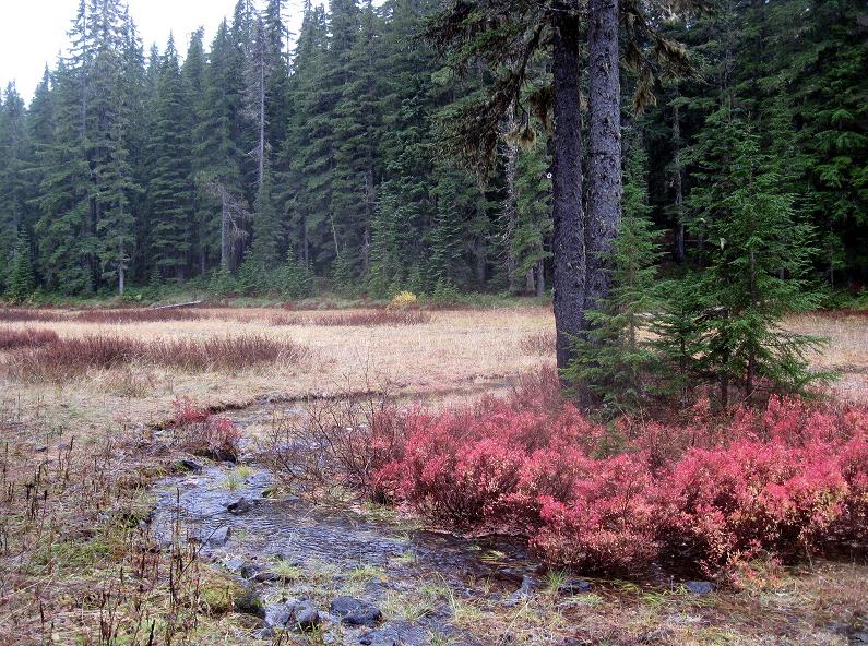 2012-10-31-137ab.JPG