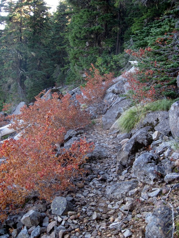 2013-10-23-004ab.jpg