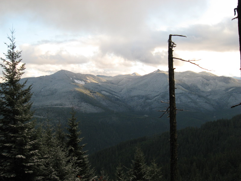 IMG_3584.jpg