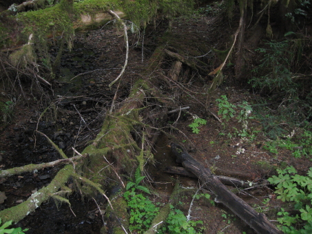 Footbridge1