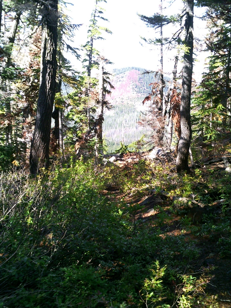 PICT0352.JPG