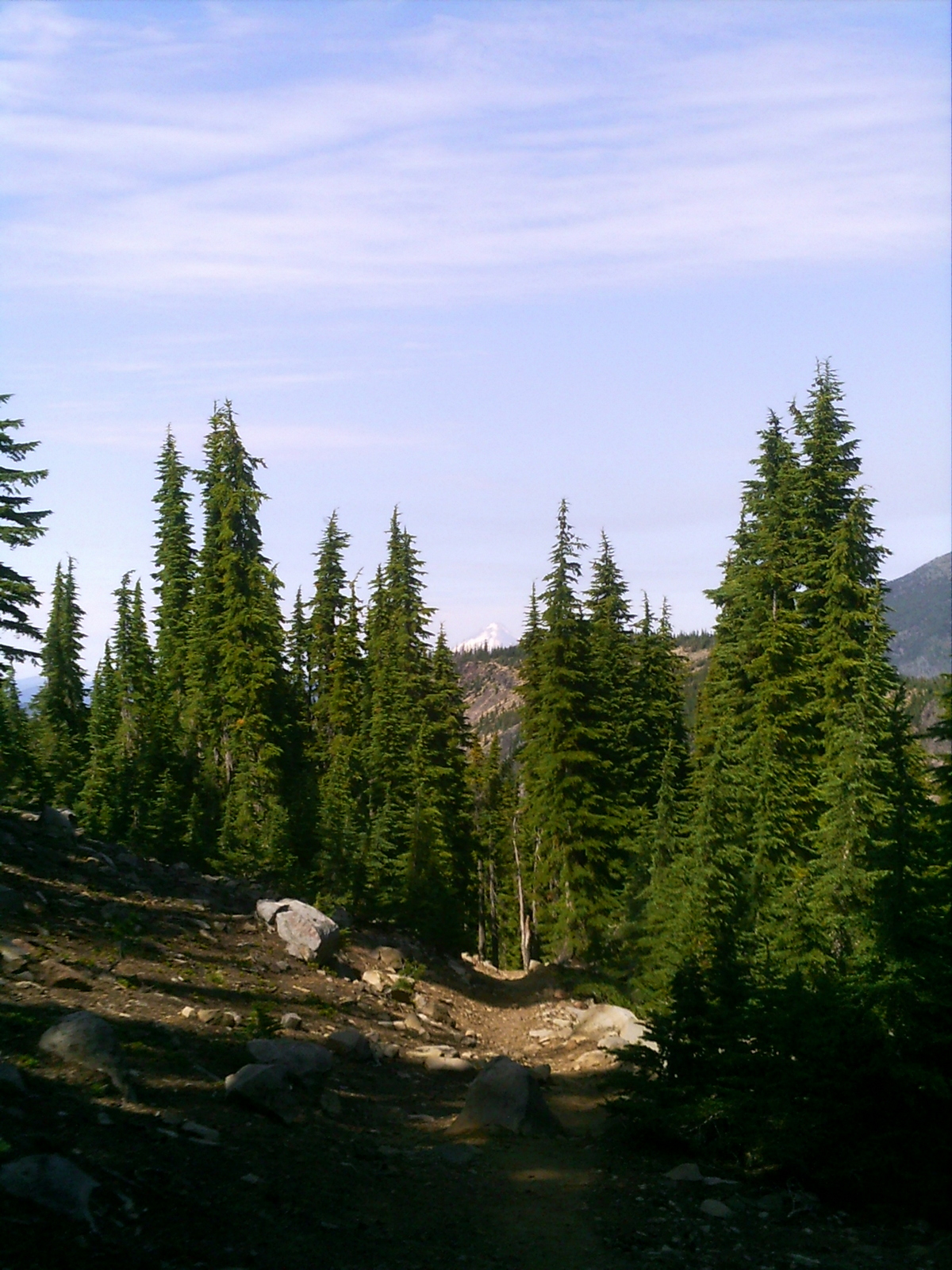 PICT0148.JPG
