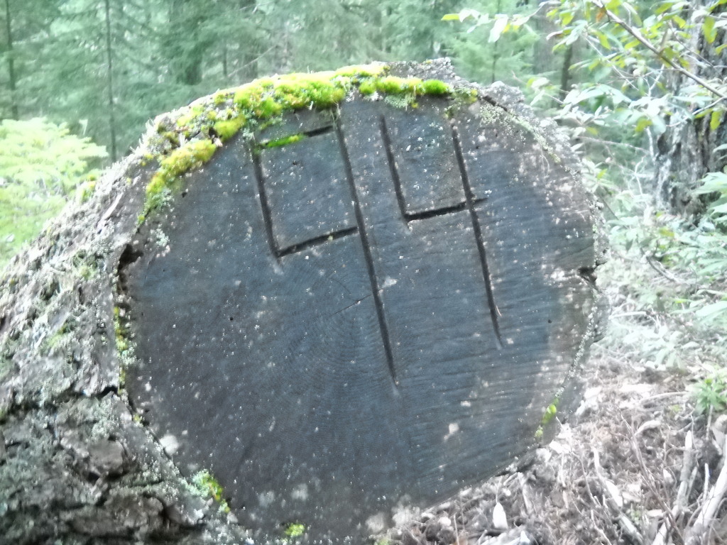 DSCN3330.JPG